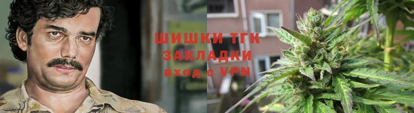 молекула духа Алексеевка