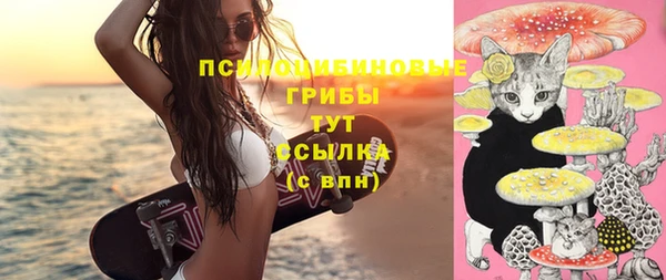 дурь Алзамай