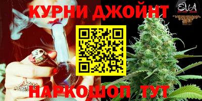 гашик Кинель