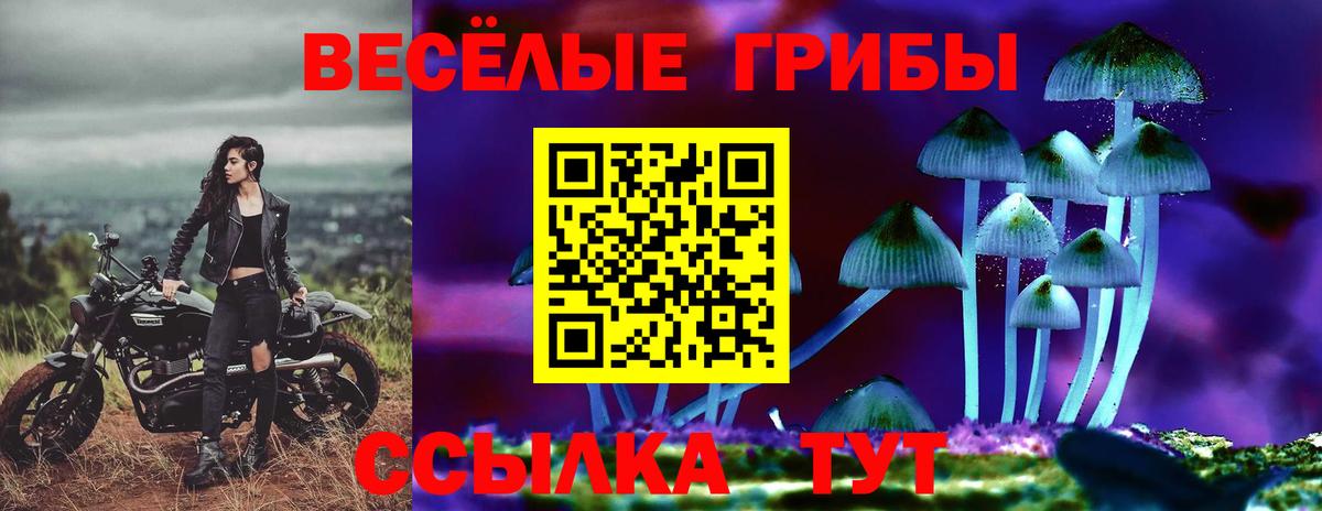 Псилоцибиновые грибы мицелий Краснознаменск